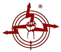Logo of Dnberg Electronics (R)